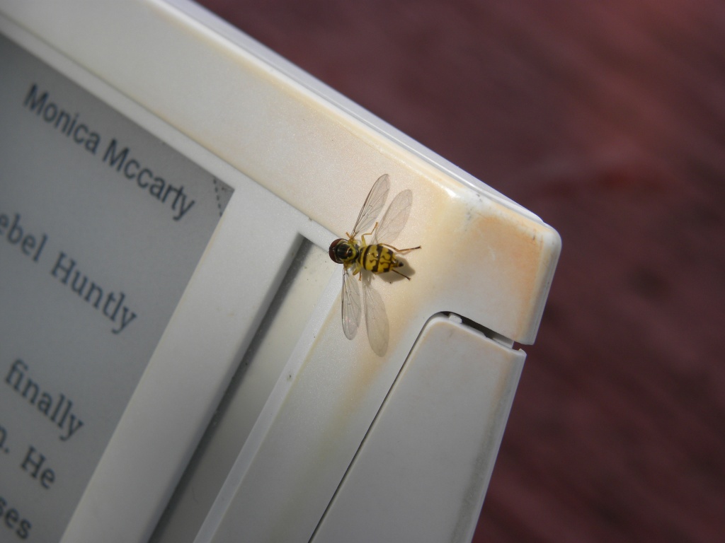 reading-bee